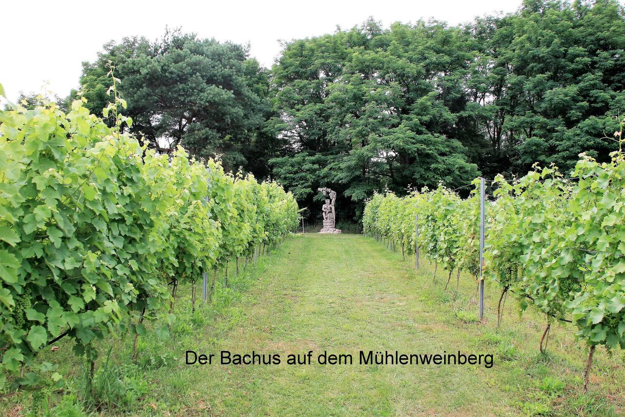 Ferienappartements Am Weinberg Bestensee Exterior photo